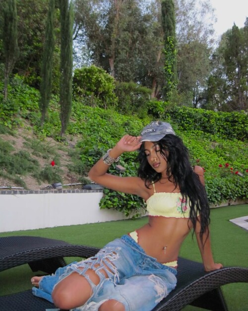 snapins ai 36289514445291950882a51292cf1a852cc