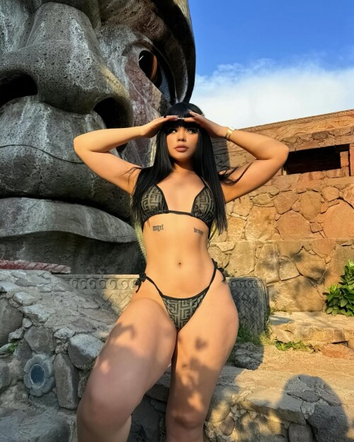 snapins ai 363915500937219644638eefb5827049185