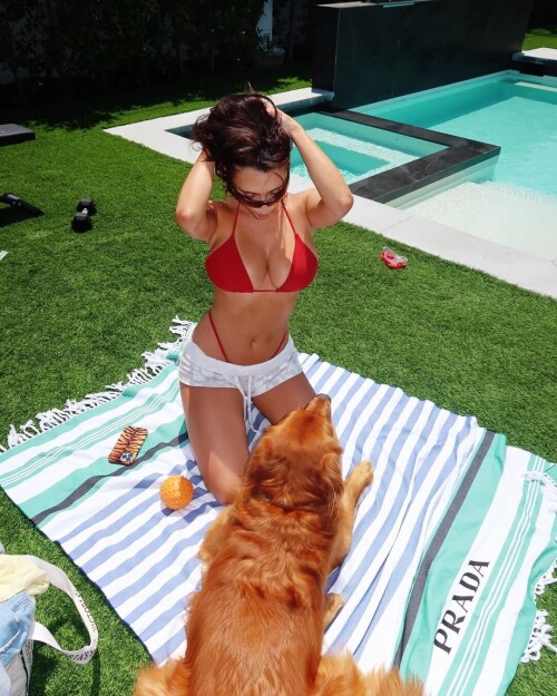 snapins ai 3640602027920781496b25f0f904a426d26