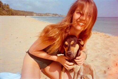 snapins ai 367388441346261776737b4621cd5faf383