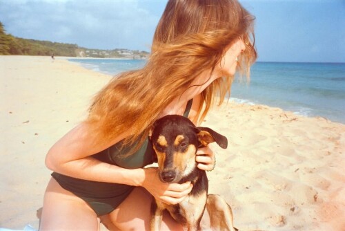 snapins ai 3673884413848665309a03aa680d3843387