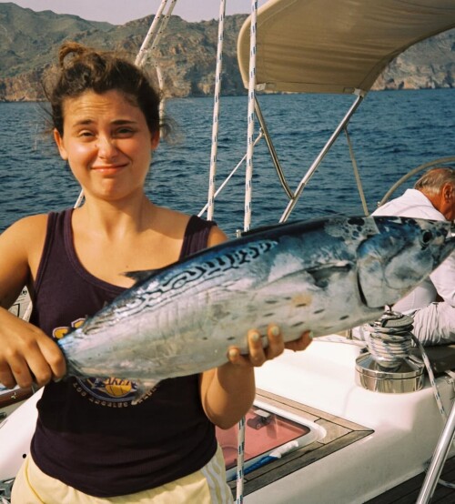 snapins ai 3677503295171809496e89ff9c5a79200c3