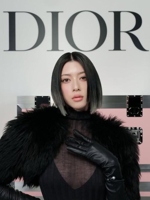 snapins ai 36808692806332987323430f500ca9fdad2