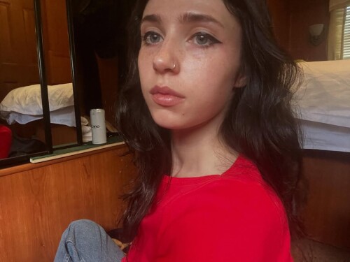 snapins-ai_368191694237554483344f8c78dd46bbc4b