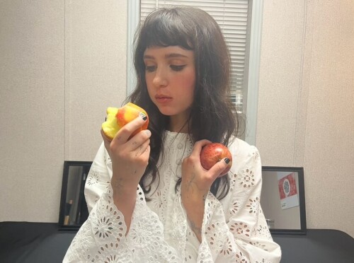 snapins ai 3690683031519312742953623b6c2a6d455