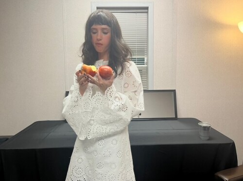 snapins ai 3690683031519477084f68e7ed0da266d57