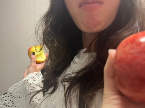 snapins ai 369068303152777347999fed9d081c8ce6c