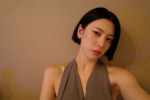 snapins ai 370708489470991750319b4b3096e5722e6