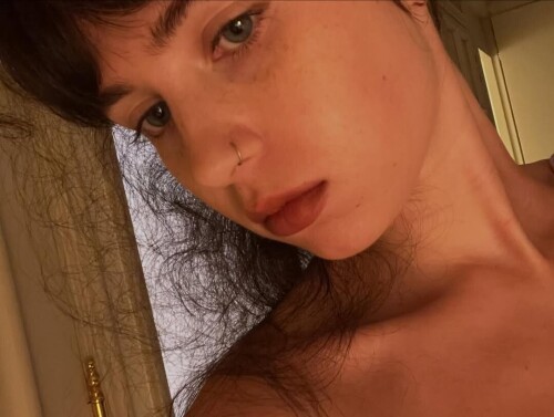 snapins ai 3739208773073461169ca117426f42f691c