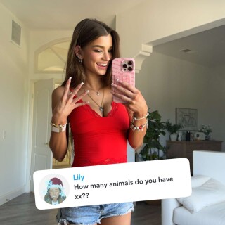 snaplytics.io_snapchat_story_1018883dc8f7fea580c