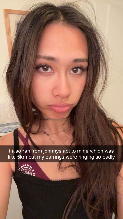 snaplytics.io snapchat story 13f889fc378db05537