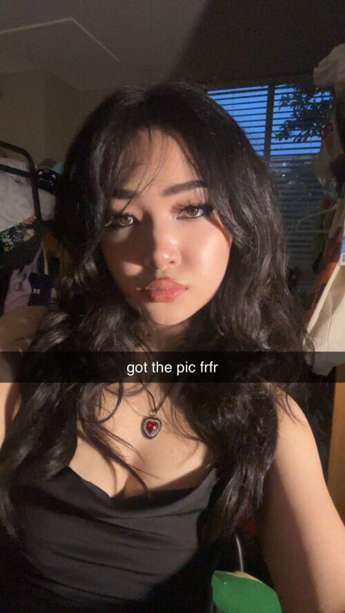 snaplytics.io snapchat story 473faceda6d29740d9