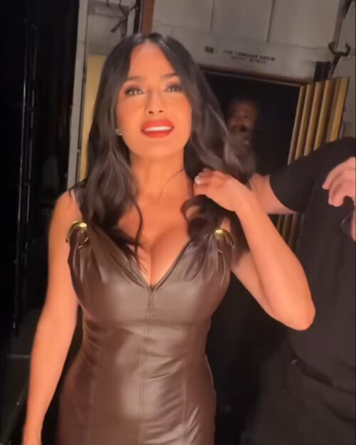 snapshotdfg3084fab0cbbb6b4a6