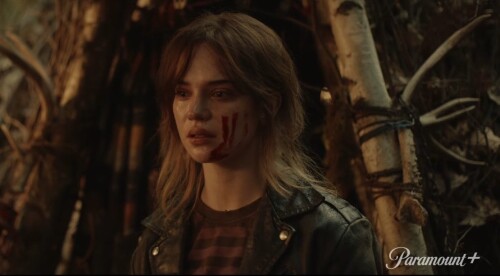 soapythinker 1890075332709126437 01dfa42852976ac586