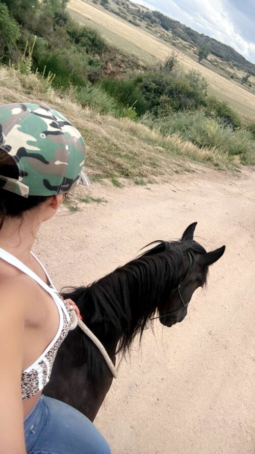 sommerray RDownloadbcf6d2d866d4c790