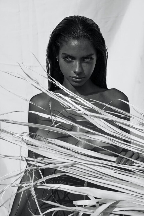 sonnys mag ph 14a2d0faa11c497f43