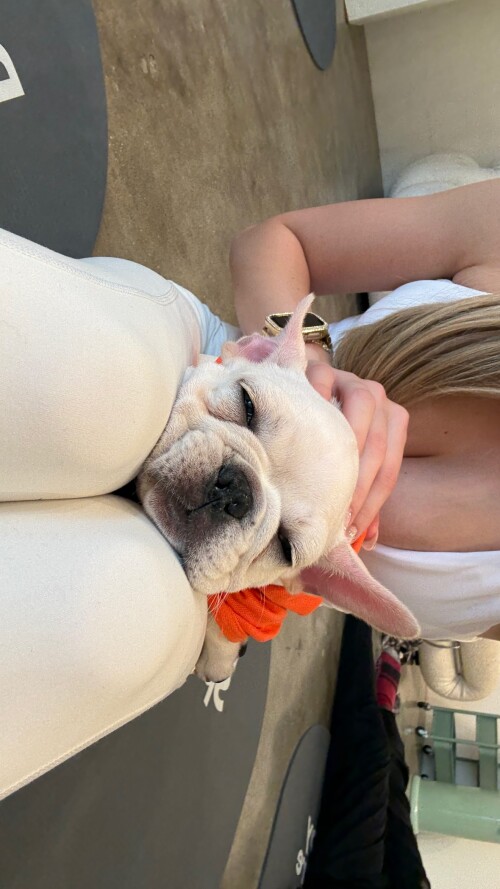 sophiadiamond2025 09 07 02 29 49ec8db5d9 7cf1 41a7 b5ea f96395ae3af3ea2e629fd096a6d0