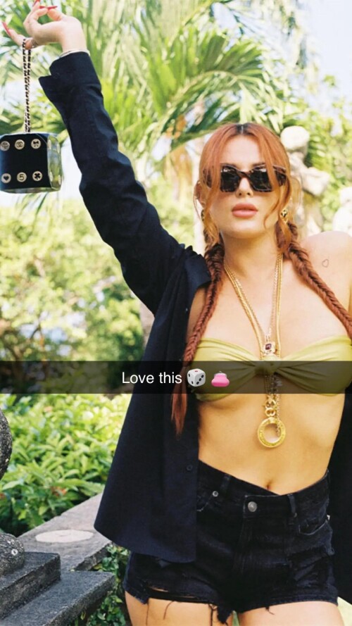 ssnaps 03D3A06BCCCB98860441DA62B9075FE0c1dede77a3876b97