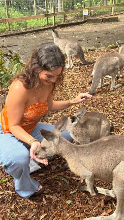 ssnaps 07E2687D9DBC95ECC885431AF96D43624832c4953de0e731