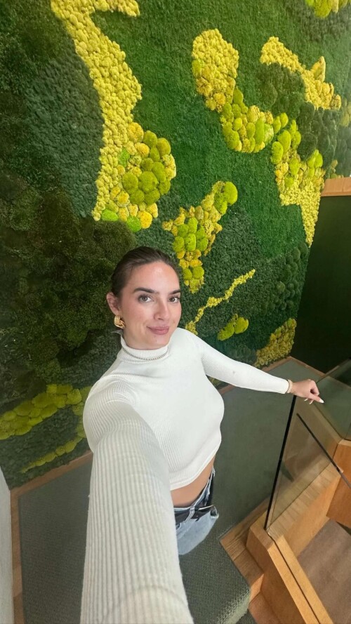 ssnaps 657D8F2748A8870D0491BAC2B21B05DE87e636f54acb575f