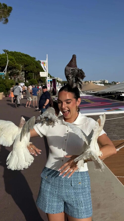 ssnaps 75FF88321B472CD15219663F14F00956d0634ea0fb45fca6