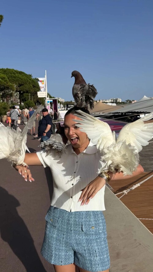 ssnaps 856A1B55AC947CABD23B666298FD5E42242e4d858feb4bd6