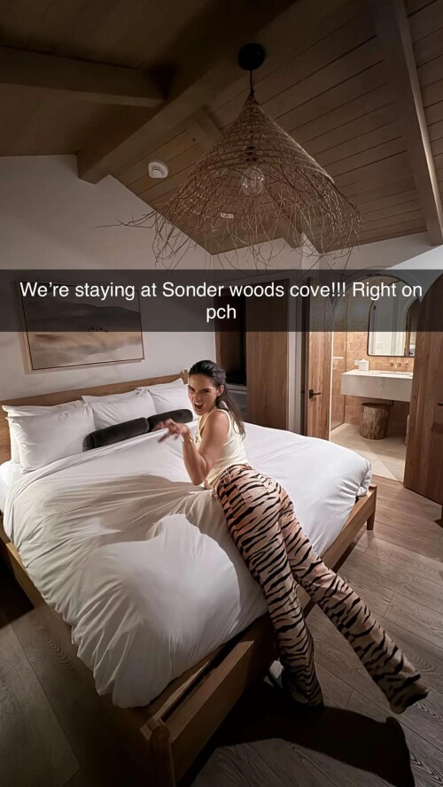 ssnaps 86DD3E73C67830362B0F1F9FB1C956F11516ad1f95ed6418