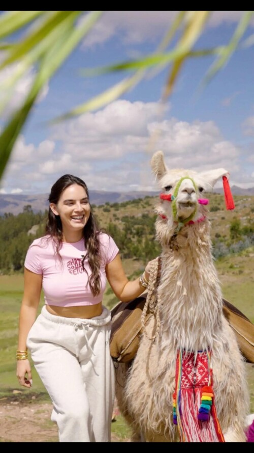 ssnaps A4F1BB943330FBCF1378B1A0829DDB91d1ccae2d965697d9