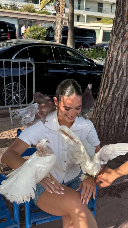 ssnaps AEE12783EBD1D59B3F514086CDF798E537f383dc8237ed58