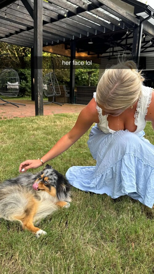 ssnaps B593A51F0340AFED5DC6A248DCB50344e16d925354e6f140