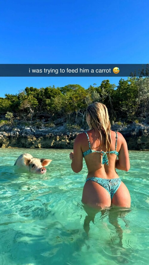 ssnaps DA393FCFA46C58296BB08158B799F3E6a0e8f69774d5299c