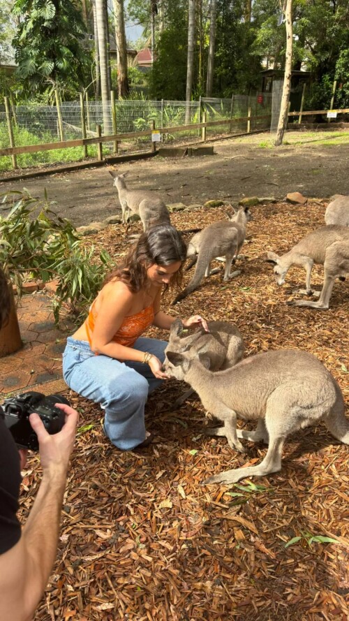 ssnaps E9B5797BBDC049584C0AB01CC65F60E5b53330fe93f81623