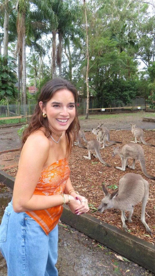 ssnaps F092E7477531E0E0366B4568E9712F5E58405612658c3fd3