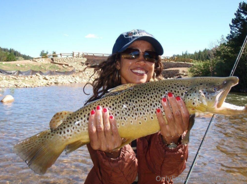 staceyd41a3820e84b8cf4