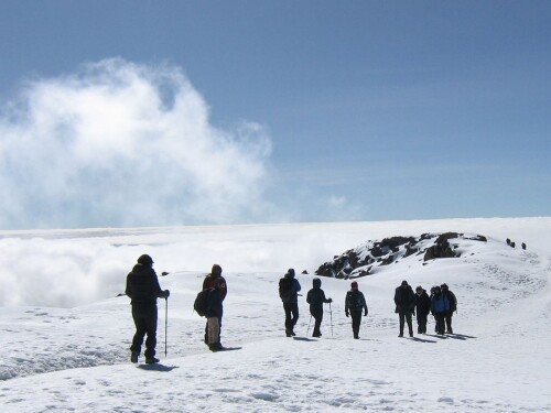 stealthgram image 2025 02 17T230035.379631b60bd7b6bef94