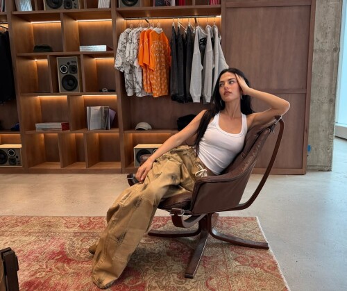 stealthgram image 2025 04 23T122317.7418ab3d56531ab3500