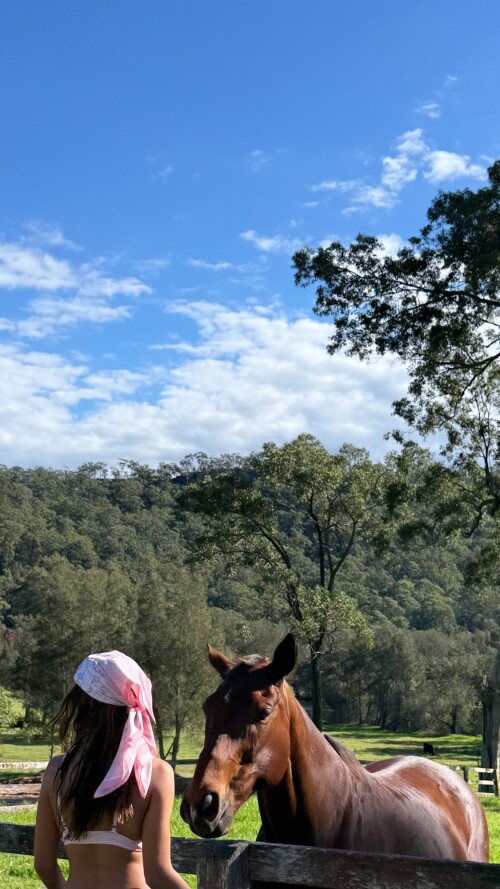 stealthgram image 1ead530a045b00ab6