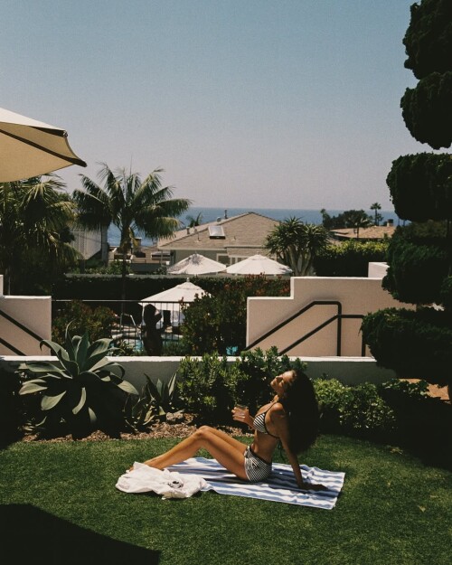 stealthgram image 34cccad64494289db