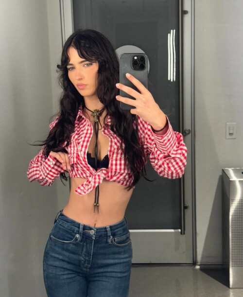 stealthgram image 46d4f302047f2614c