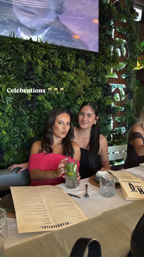 stealthgram image 6739cdd30546be4204