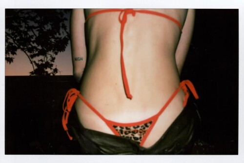 stealthgram image163afe362441331a28