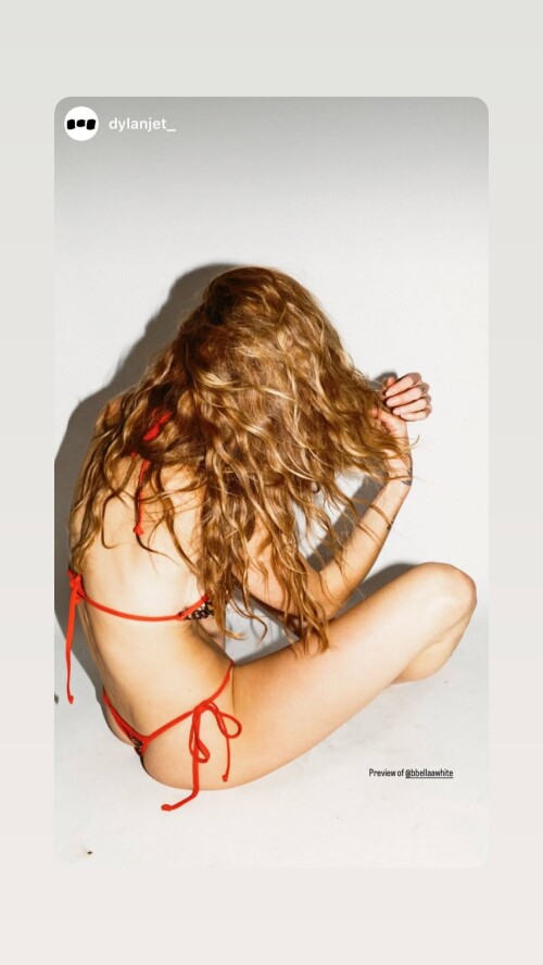 stealthgram image4bfb5140479005276