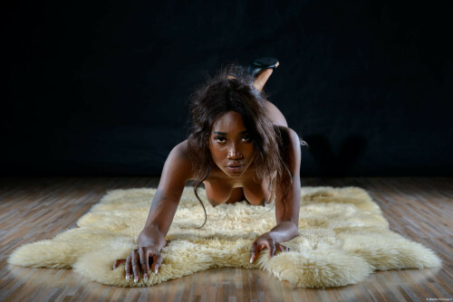 stock photo 1039488804