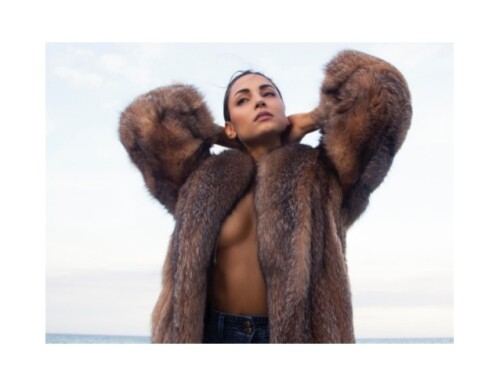 susie jetta 2015 portfolio 3 638