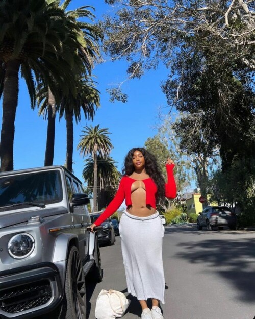 sza 344146466 206092438843257 6421877952870070076 nad890f26cc203fa7