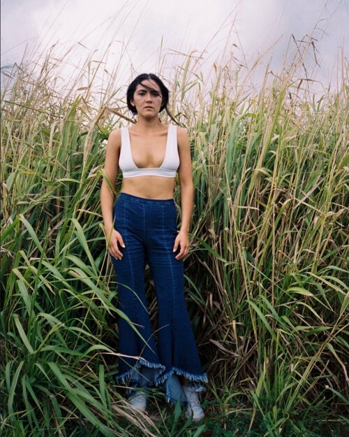 t574l09d0pi311e5937534f21d499