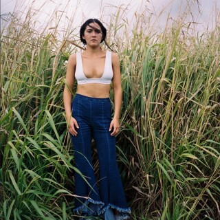 t574l09d0pi311e5937534f21d499