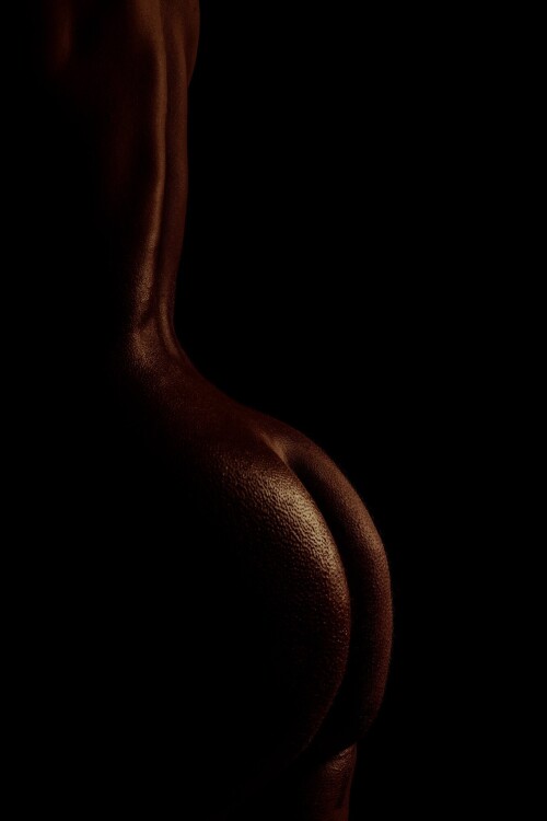 tb 88529 1114548 16799838175c4e23ed2f4dc693