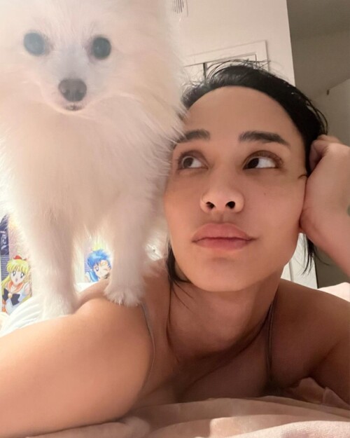 telechargement 44c69dd3777aa453bd