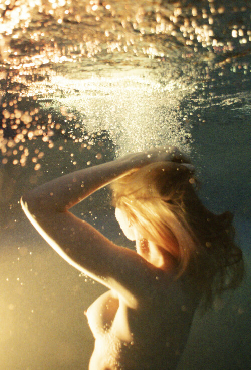 tfhdtfhsfjdff6d42029e5f3dedc